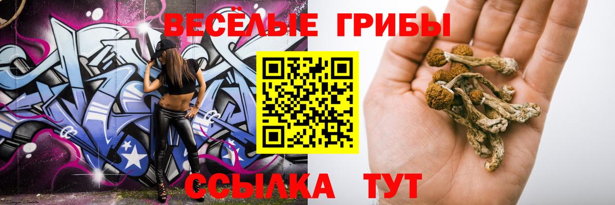 Псилоцибиновые грибы Psilocybe  Вход с VPN  купить наркоту  Галлюциногенные грибы Magic Shrooms  Каменск-Уральский 